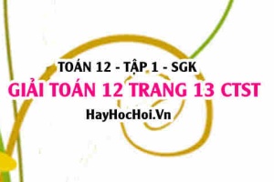 Giải Toán 12 trang 13 tập 1 Chân trời sáng tạo